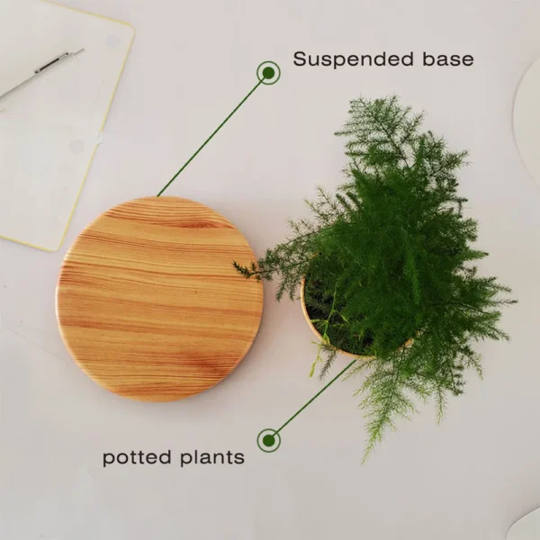 Magnetic Levitation Potted Aerial Ornaments Suspended Woodgrain Plant Bonsai Lamp Night Bedroom Fancy Lighting Table Light Kids 2 Magnetic Levitation Potted Aerial Ornaments Suspended Woodgrain Plant Bonsai Lamp Night Bedroom Fancy Lighting Table Light Kids 2